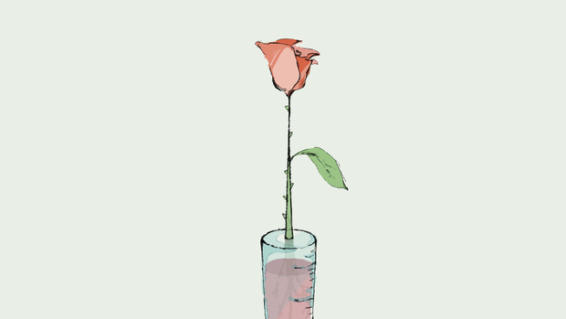 花瓶（色差分/透明背景バージョン有り）