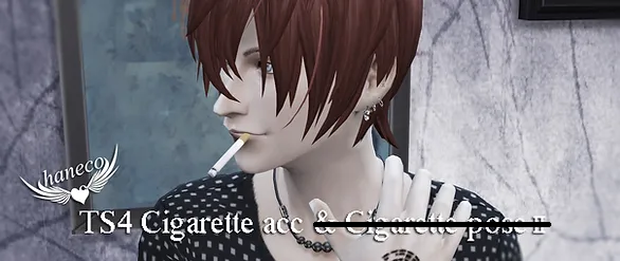 haneco ts4 cigarette acc02