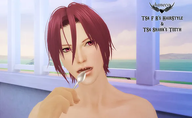 TS4 shark's teeth