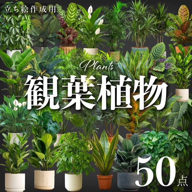 【透過素材50点】観葉植物（png）