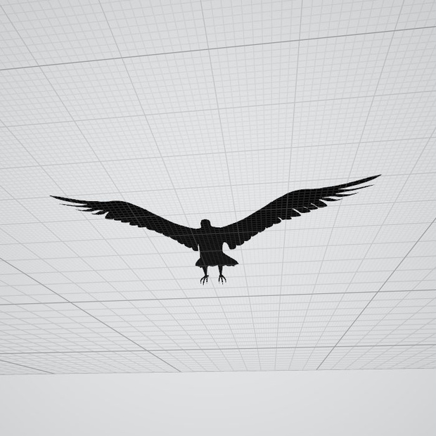鳥　　3dmodel