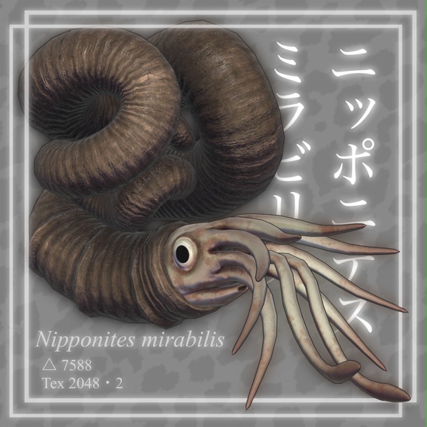 ３Dモデル《ニッポニテス・ミラビリス Nipponites mirabilis》 - kai 9 - BOOTH