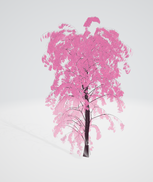 柳桜単体