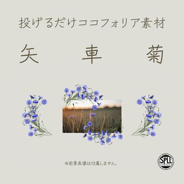 【無料/有料】タイマン2PL用ココフォリア素材・矢車菊【SPLL:E191313】
