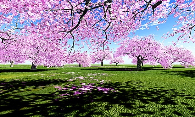 未完成風景 Amazon.co.jp: 未完成エイトビーツ: ミュージック