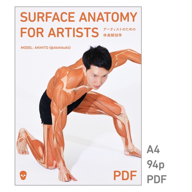 アーティストのための体表解剖学（PDF） - anatomytutorials - BOOTH