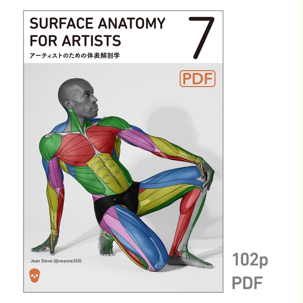 アーティストのための体表解剖学7（PDF） - anatomytutorials - BOOTH