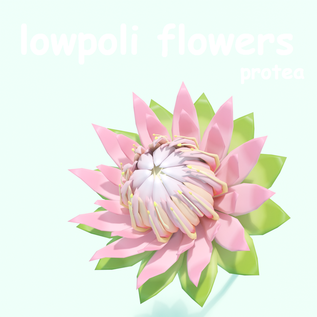 【値下げ】ローポリフラワー　プロテア　.fbx　.unitypackage　protea