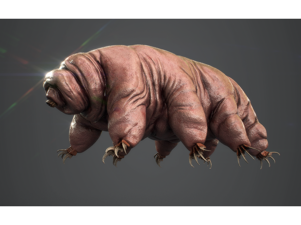 【3D微生物】クマムシモデル