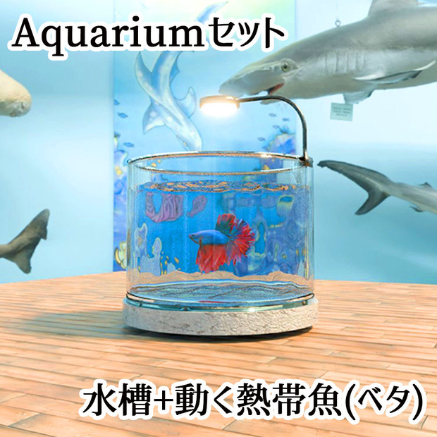 【Unity 3Dモデル】アクアリウム水槽＋ベタのセット【熱帯魚アニメーション付き】