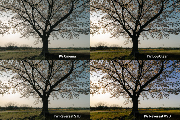 IW Contemporary Film Presets