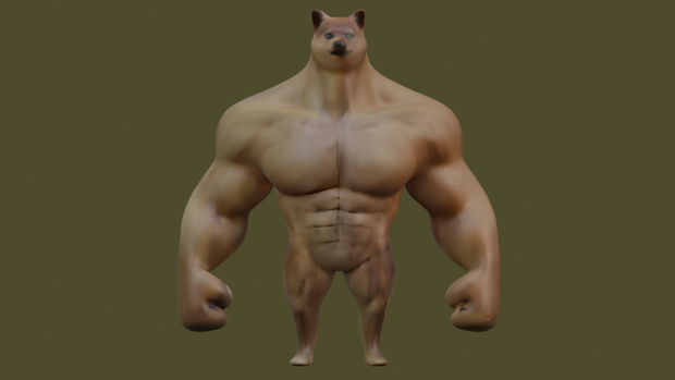 Muscle shiba