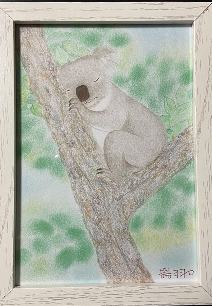 コアラの絵画 Clinicacampinas Com Br