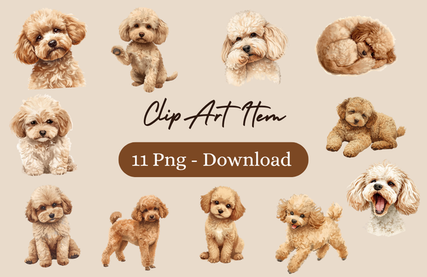 茶色のトイプードルのアンティーク風クリップアート11点セット | PNG背景透過
