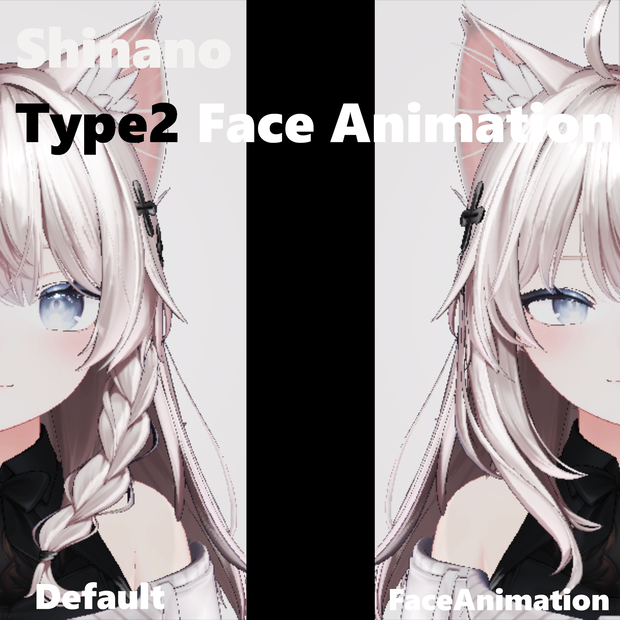 Shinano Type2-Face Animation