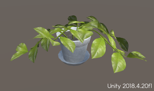 観葉植物(HousePlants)