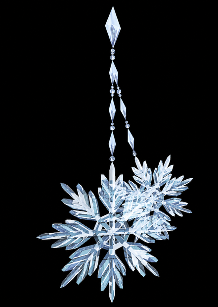 Snowflake Earring