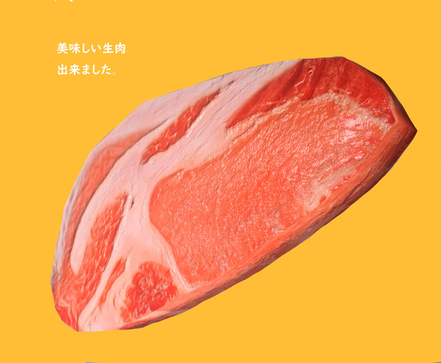 リアル生肉出来ました！