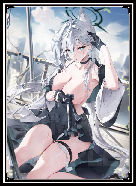 《新作スリーブ3》シロコテラーセット