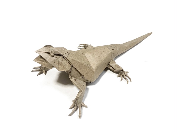 フトアゴヒゲトカゲの展開図 Central Bearded Dragon Cp かのこや Booth