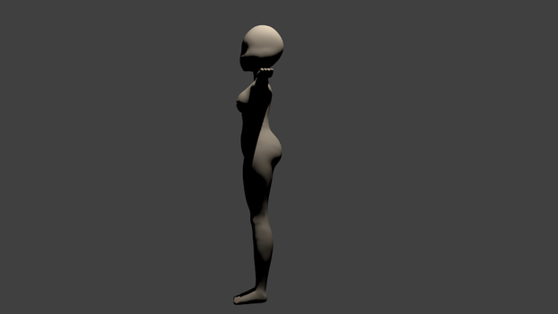 3D body model