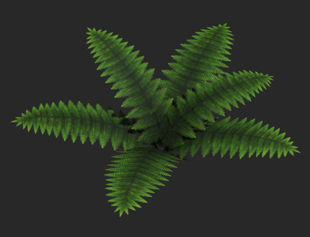 【無料3Dモデル】シダ植物