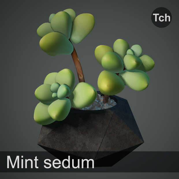 3D Mint sedum : succulent in a pot || 3D ミントセダム: 鉢植えの多肉植物  