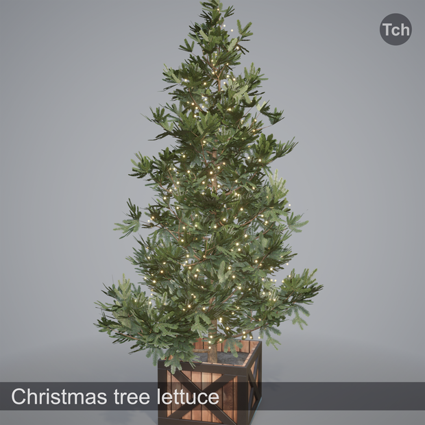 Christmas tree lettuce (3D) | レタス色のクリスマス ツリー (3D)