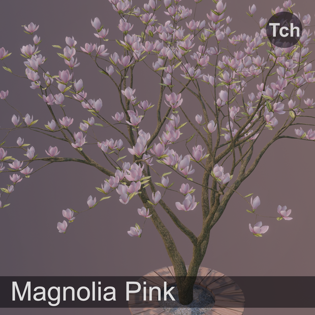 Pink magnolia tree (3D) || マグノリアピンク（3D）