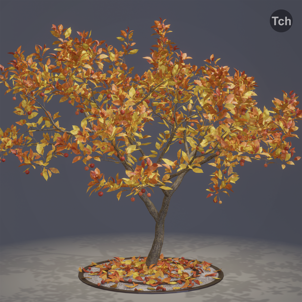 Fall tree (3D) | 秋の木 (3D)