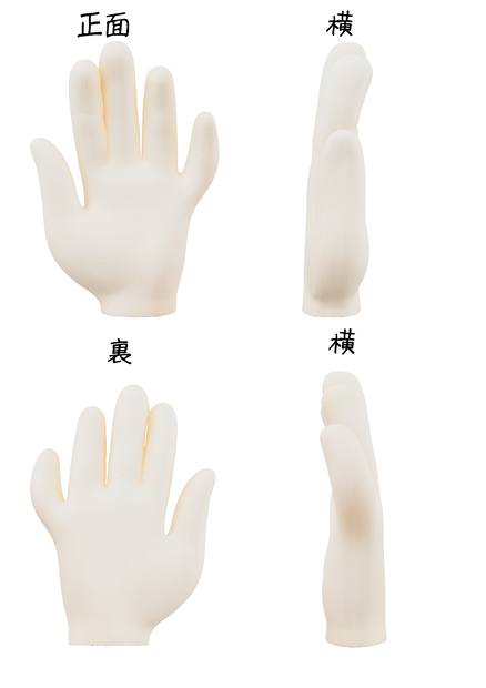 手の「正面」「裏」「横」「横２」