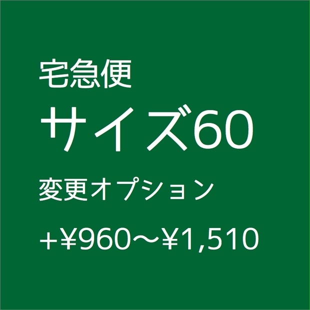 梱包サイズ60（オプション）