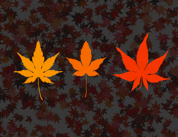 紅葉ブラシ