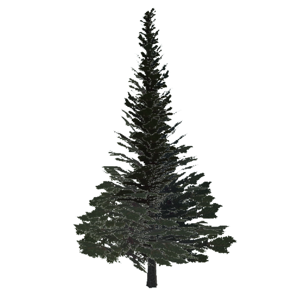 【CC0】もみの木【3DModel】