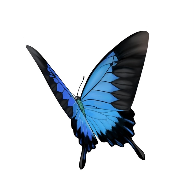 17313507-58f8-4dd5-a2ee-