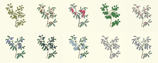 Hana-Monyo Hagi (Bush Clover) - 10 AI Illustration Seamless Patterns | Digital Paper 12x12 300dpi