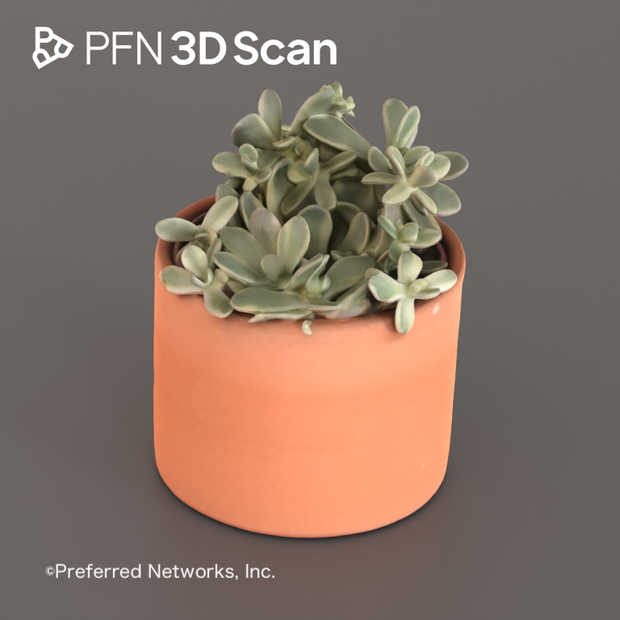 【PFN 3D Scan】多肉植物3