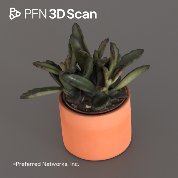 【PFN 3D Scan】多肉植物4