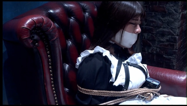 動画 Mp4 122 戦闘メイドの危機 29分 Sentinel Works Booth