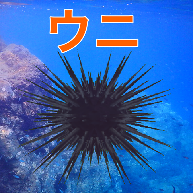 [CC0]ヒューマノイド・ウニ[無料]