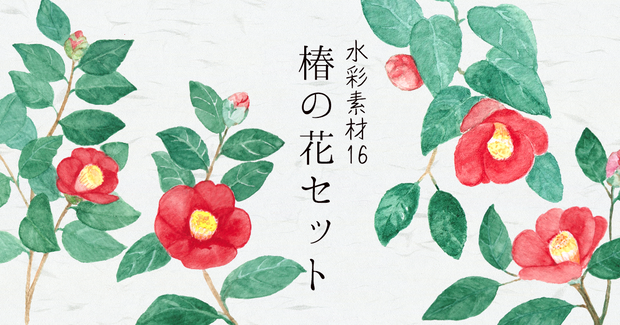 水彩素材16 椿の花セット