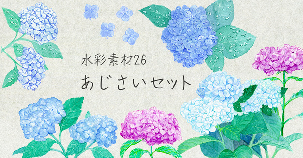 水彩素材26 あじさいセット