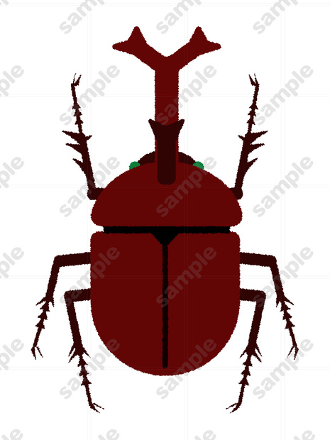 カブトムシのイラスト素材