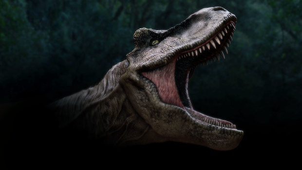3Dモデル Trex_head