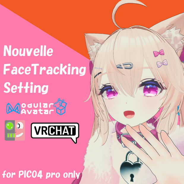 Nouvelle ヌーヴェル FacialTracking Setting