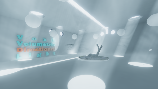 VoxKVolumetricDirectionalLight