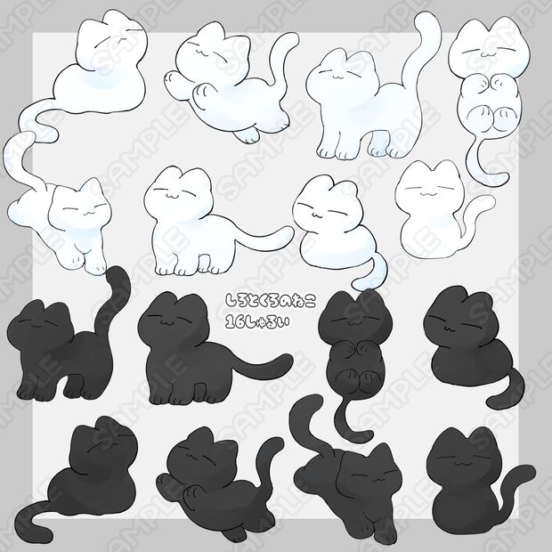 白と黒の猫　16種