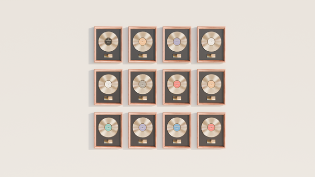 Record/Vinyl Frames