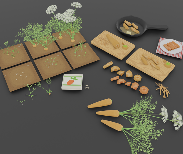 【無料セット】　ニンジン栽培・料理セット　Free Carrot Growing and cooking set