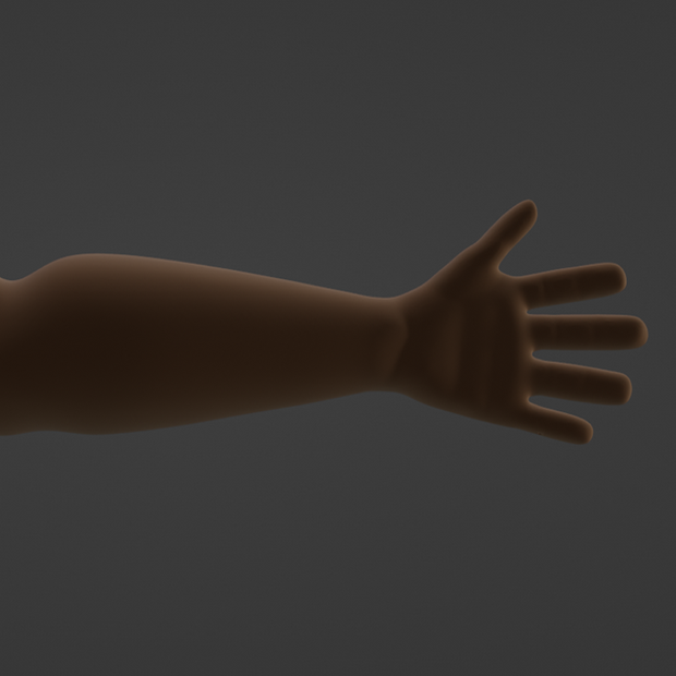 MidPoly FPS Arms V.1